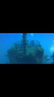 📍Limassol Wrecks 

Costandis and Lady Thetis are two awesome wrecks situated just of the Limassol coastline. 

Both wrecks are part of the artificial reefs program to attract more marine life and as you can see it’s clearly working!! 

Thank you so much to @blue_thunder_diving for taking us and for the videos!